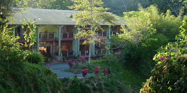 Secluded rainforest setting